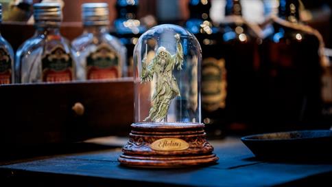 Uniek souvenir voor abonnementhouders van de Efteling.