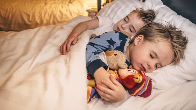 Broers overnachten in het Efteling Hotel