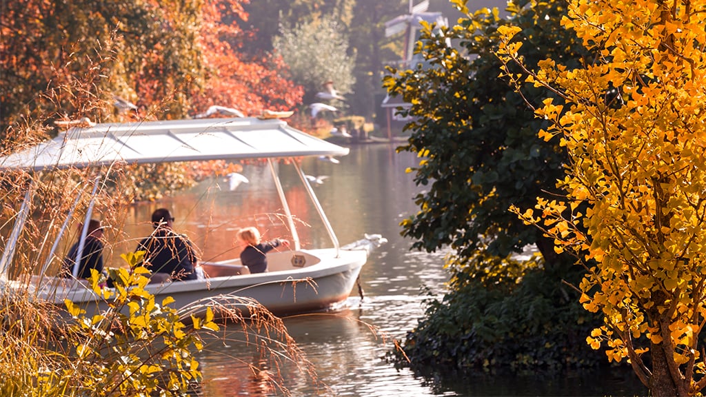 Herfst in de Efteling